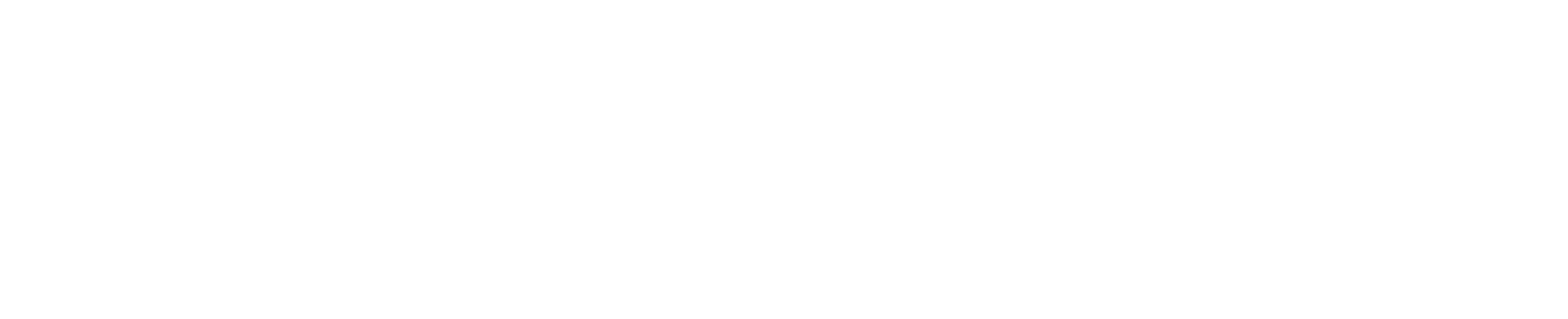 Worcestershire County Council