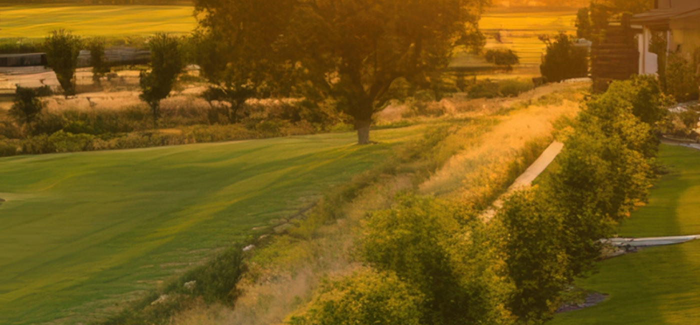 Natural and historic environment